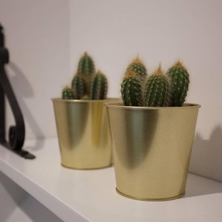 Apartament Bonito Apartamento, Nuevo Y En El Casco Viejo!!! Bilbao Zewnętrze zdjęcie